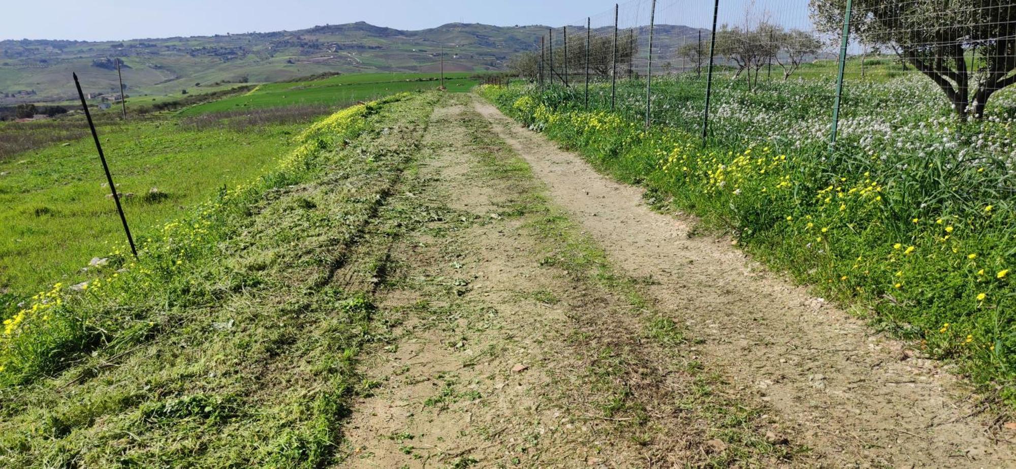 B&B Della Via Francigena Agrigento Exterior photo